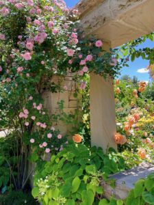 Photo of a stone structure with orange roses, climbing pink roses, and greenery spilling over the walls and steps