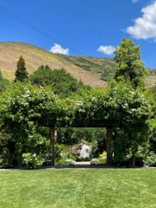 Photo of the Wedding Garden, looking past a green lawn through a wooden gateway covered with climbing, blooming plants to a waterfall behind it. Trees and hill in the background, and a blue sky.