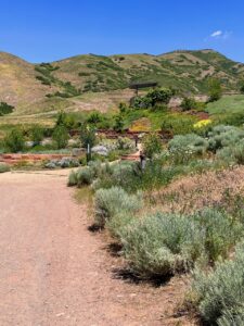 Photo of a trail leading to a terraced native garden with hills in the background
