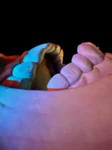 Closeup photo of teeth from a skull once displayed at the Treasure Island hotel, reflecting colors from nearby neon signs
